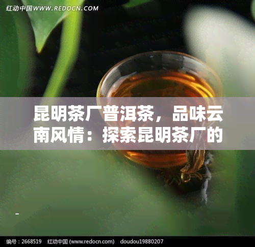 昆明茶厂普洱茶，品味云南风情：探索昆明茶厂的普洱茶世界