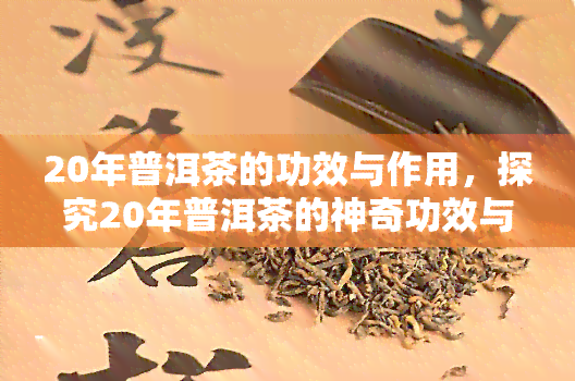 20年普洱茶的功效与作用，探究20年普洱茶的神奇功效与作用，你不可不知的秘密！