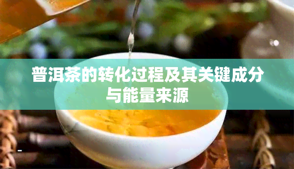 普洱茶的转化过程及其关键成分与能量来源