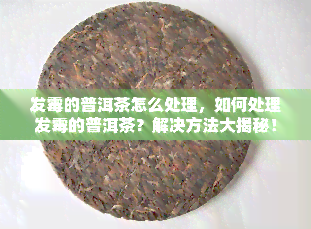 发霉的普洱茶怎么处理，如何处理发霉的普洱茶？解决方法大揭秘！