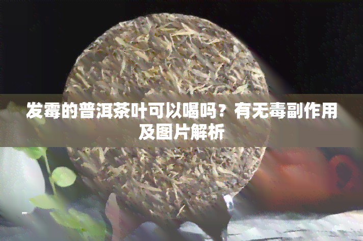 发霉的普洱茶叶可以喝吗？有无副作用及图片解析