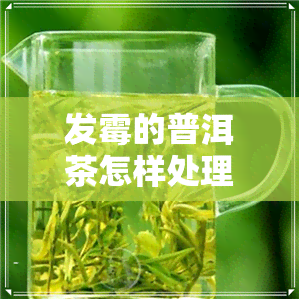 发霉的普洱茶怎样处理-发霉的普洱茶怎样处理好