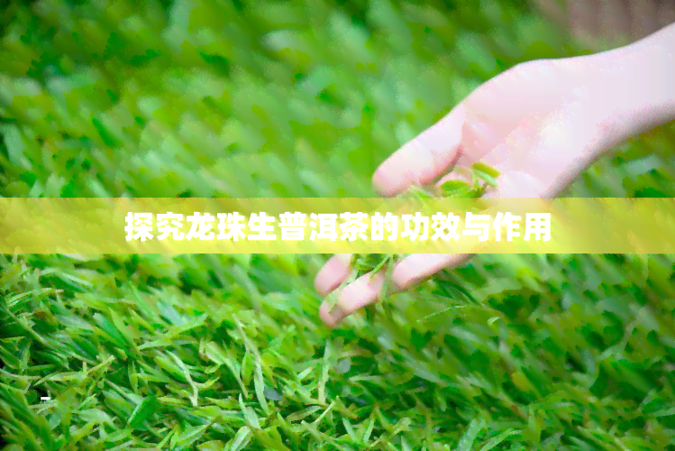 探究龙珠生普洱茶的功效与作用