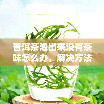 普洱茶泡出来没有茶味怎么办，解决方法：普洱茶泡出无茶味的问题