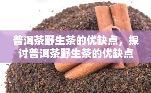 普洱茶野生茶的优缺点，探讨普洱茶野生茶的优缺点