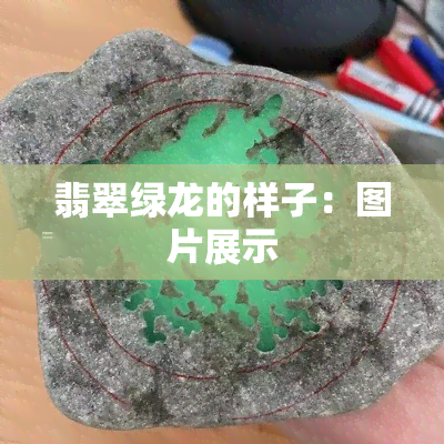 翡翠绿龙的样子：图片展示