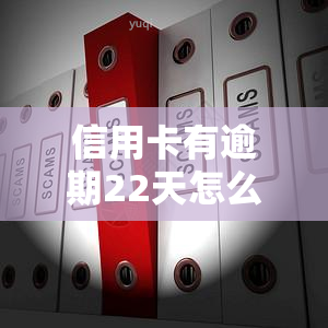 信用卡有逾期22天怎么办，信用卡逾期22天，应该怎样处理？