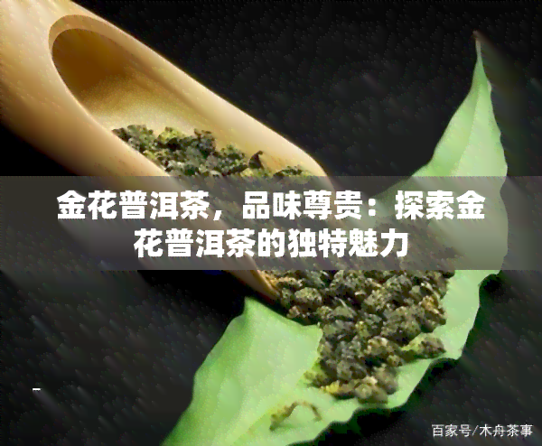 金花普洱茶，品味尊贵：探索金花普洱茶的独特魅力