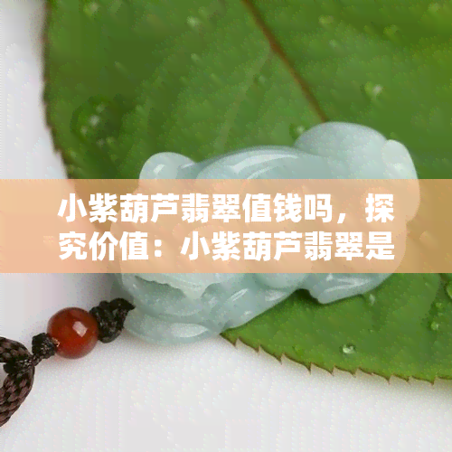 小紫葫芦翡翠值钱吗，探究价值：小紫葫芦翡翠是否值得收藏投资？