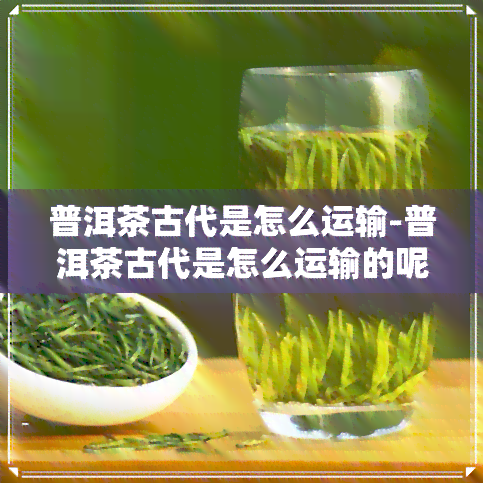 普洱茶古代是怎么运输-普洱茶古代是怎么运输的呢