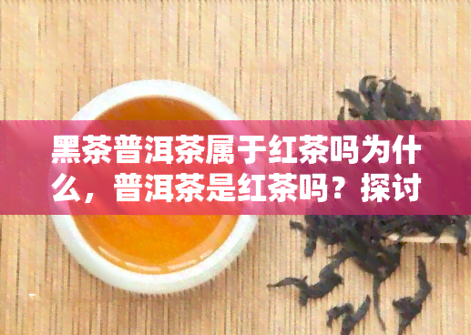 黑茶普洱茶属于红茶吗为什么，普洱茶是红茶吗？探讨黑茶普洱茶的分类归属