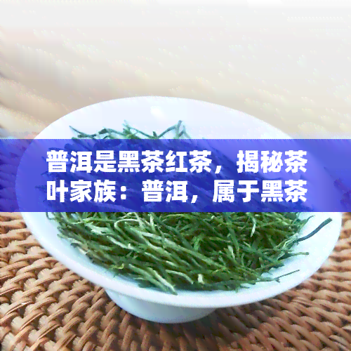 普洱是黑茶红茶，揭秘茶叶家族：普洱，属于黑茶还是红茶？