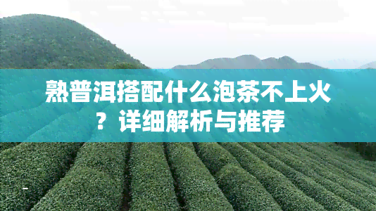 熟普洱搭配什么泡茶不上火？详细解析与推荐