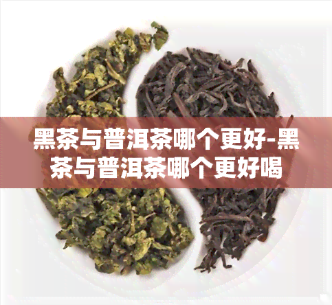 黑茶与普洱茶哪个更好-黑茶与普洱茶哪个更好喝