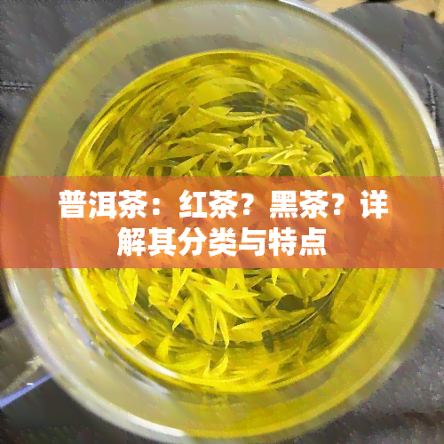 普洱茶：红茶？黑茶？详解其分类与特点