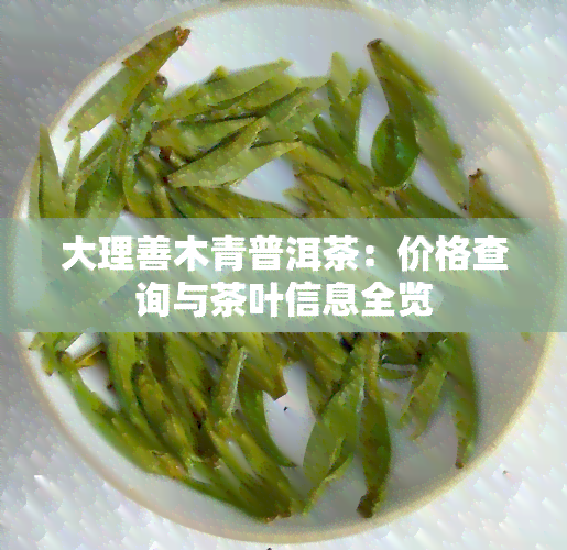 大理善木青普洱茶：价格查询与茶叶信息全览