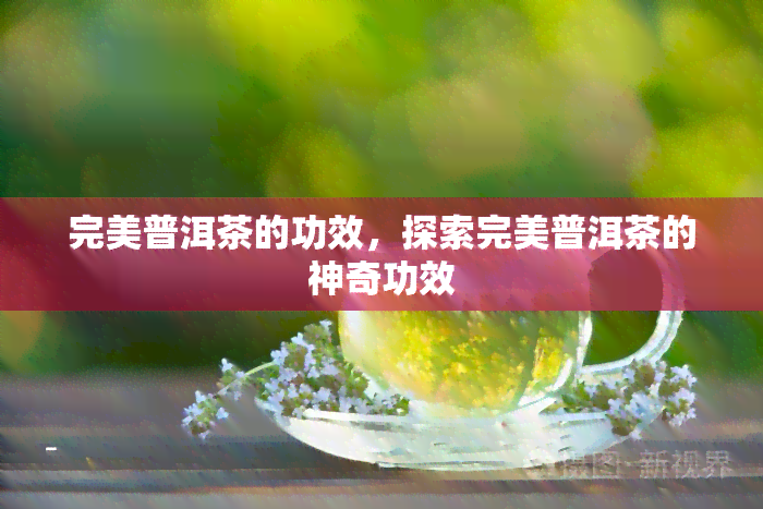 完美普洱茶的功效，探索完美普洱茶的神奇功效