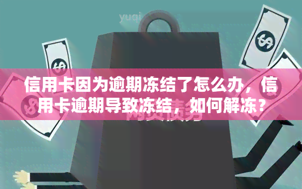 信用卡因为逾期冻结了怎么办，信用卡逾期导致冻结，如何解冻？