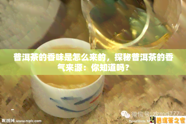 普洱茶的香味是怎么来的，探秘普洱茶的香气来源：你知道吗？