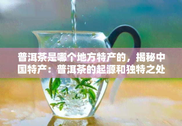 普洱茶是哪个地方特产的，揭秘中国特产：普洱茶的起源和独特之处