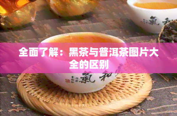 全面了解：黑茶与普洱茶图片大全的区别