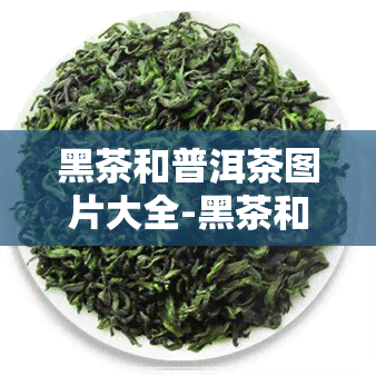 黑茶和普洱茶图片大全-黑茶和普洱茶图片大全区别