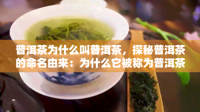 普洱茶为什么叫普洱茶，探秘普洱茶的命名由来：为什么它被称为普洱茶？