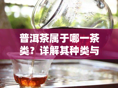 普洱茶属于哪一茶类？详解其种类与特点