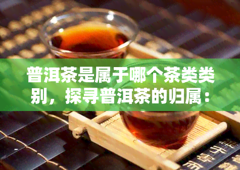 普洱茶是属于哪个茶类类别，探寻普洱茶的归属：它属于哪个茶类呢？