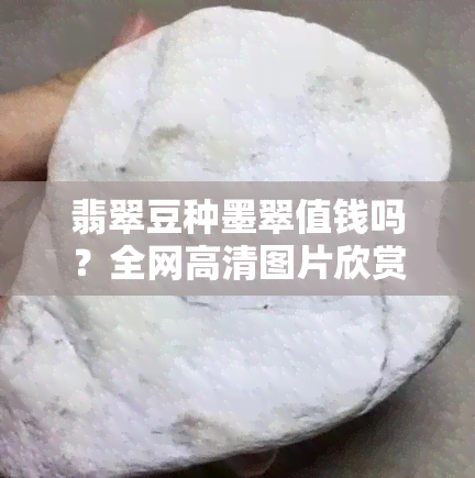 翡翠豆种墨翠值钱吗？全网高清图片欣赏