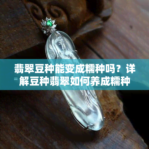 翡翠豆种能变成糯种吗？详解豆种翡翠如何养成糯种效果