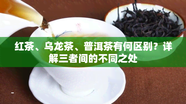 红茶、乌龙茶、普洱茶有何区别？详解三者间的不同之处