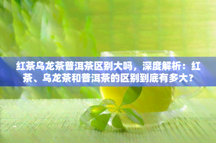 红茶乌龙茶普洱茶区别大吗，深度解析：红茶、乌龙茶和普洱茶的区别到底有多大？