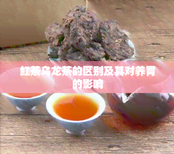 红茶乌龙茶的区别及其对养胃的影响