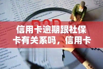 信用卡逾期跟社保卡有关系吗，信用卡逾期是否会影响社保卡？