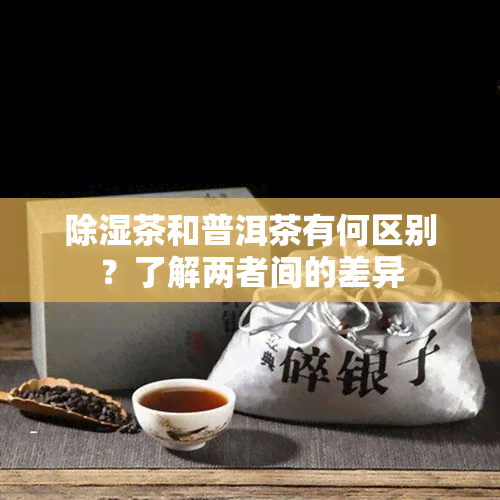 除湿茶和普洱茶有何区别？了解两者间的差异