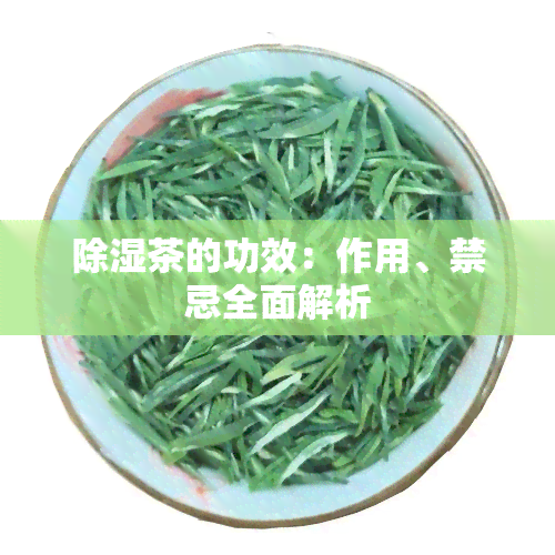 除湿茶的功效：作用、禁忌全面解析