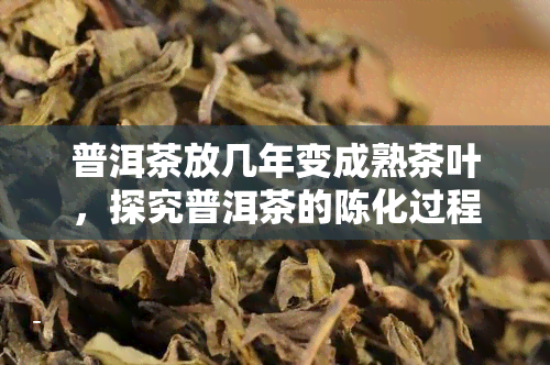 普洱茶放几年变成熟茶叶，探究普洱茶的陈化过程：从新生叶到熟茶的魅力转变