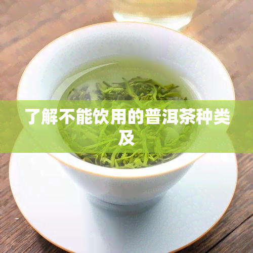 了解不能饮用的普洱茶种类及