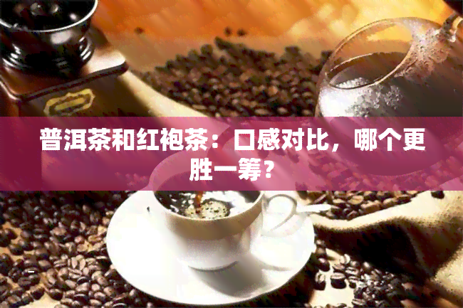 普洱茶和红袍茶：口感对比，哪个更胜一筹？