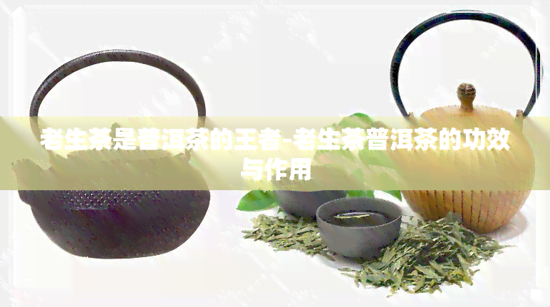 老生茶是普洱茶的王者-老生茶普洱茶的功效与作用