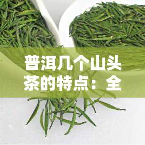 普洱几个山头茶的特点：全面解析各山头特色口感