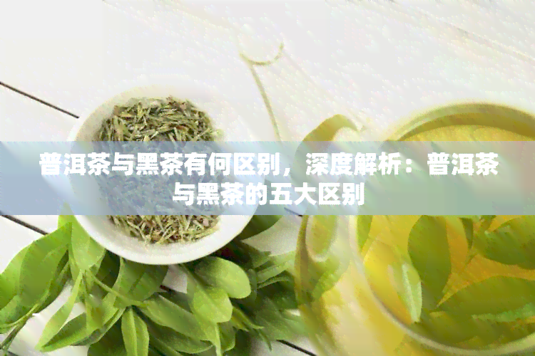 普洱茶与黑茶有何区别，深度解析：普洱茶与黑茶的五大区别