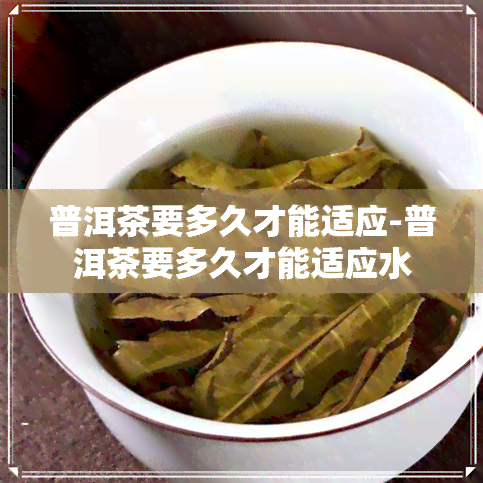 普洱茶要多久才能适应-普洱茶要多久才能适应水