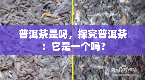 普洱茶是吗，探究普洱茶：它是一个吗？