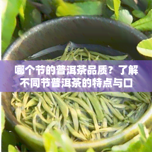 哪个节的普洱茶品质？了解不同节普洱茶的特点与口感