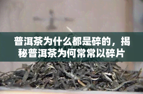 普洱茶为什么都是碎的，揭秘普洱茶为何常常以碎片形式出现？