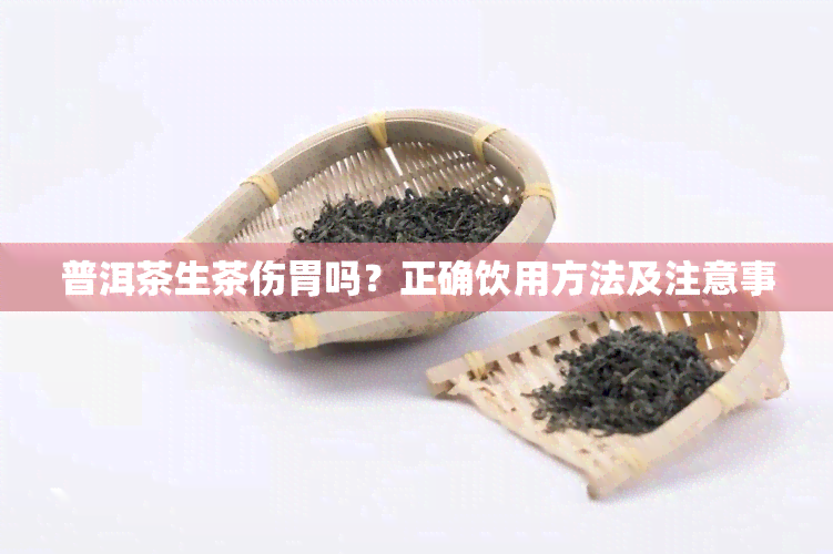 普洱茶生茶伤胃吗？正确饮用方法及注意事