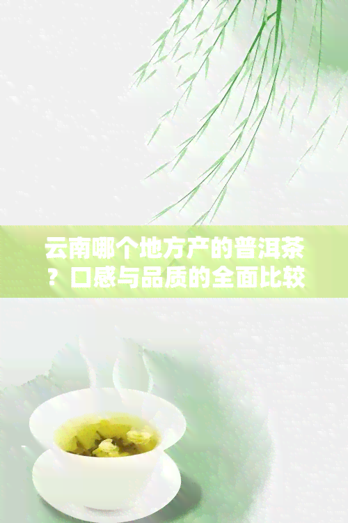 云南哪个地方产的普洱茶？口感与品质的全面比较