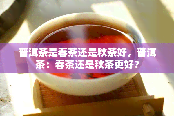 普洱茶是春茶还是秋茶好，普洱茶：春茶还是秋茶更好？